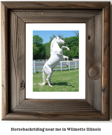 horseback riding near me in Wilmette, Illinois